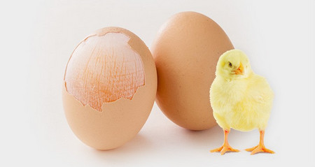 001.�j����э�3�I